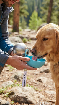 Portable Water Bottle