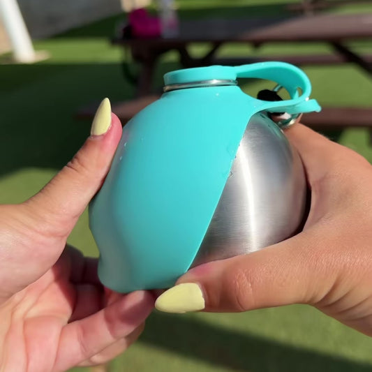 Portable Water Bottle